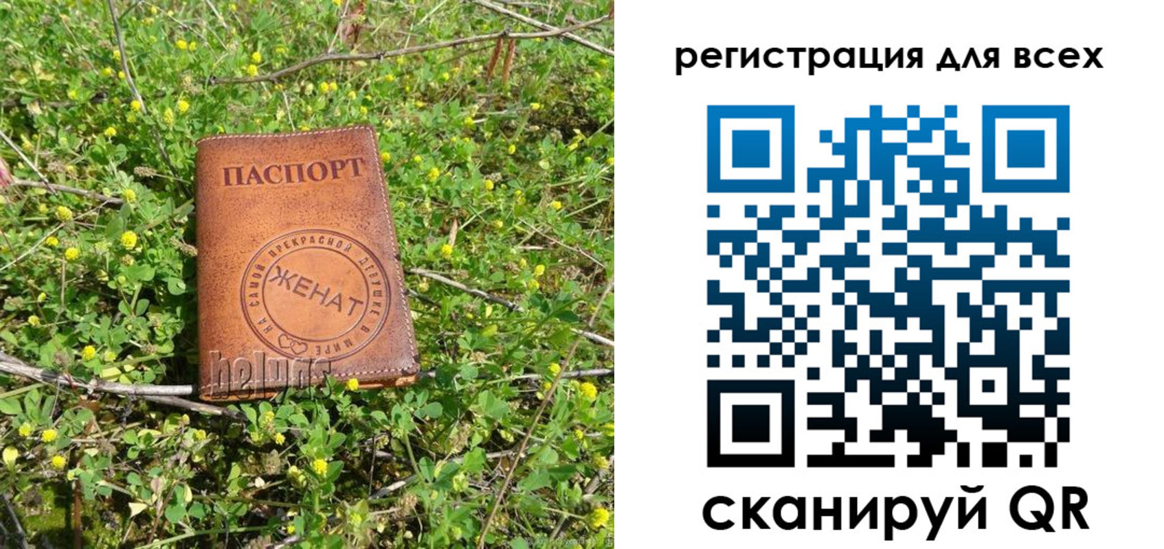 прописка регистрация в Ногинске